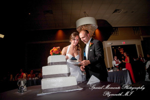 Dayna & Anthony at St. Nicholas Greek Orthodox Hall Troy MI wedding photograph