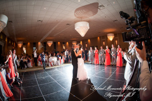 Dayna & Anthony at St. Nicholas Greek Orthodox Hall Troy MI wedding photograph