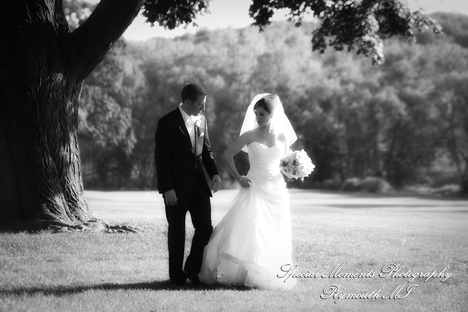 Lindsey & Jim at Meadow Brook Hall Rochester MI wedding photograph