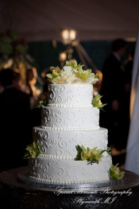 Lindsey & Jim at Meadow Brook Hall Rochester MI wedding photograph