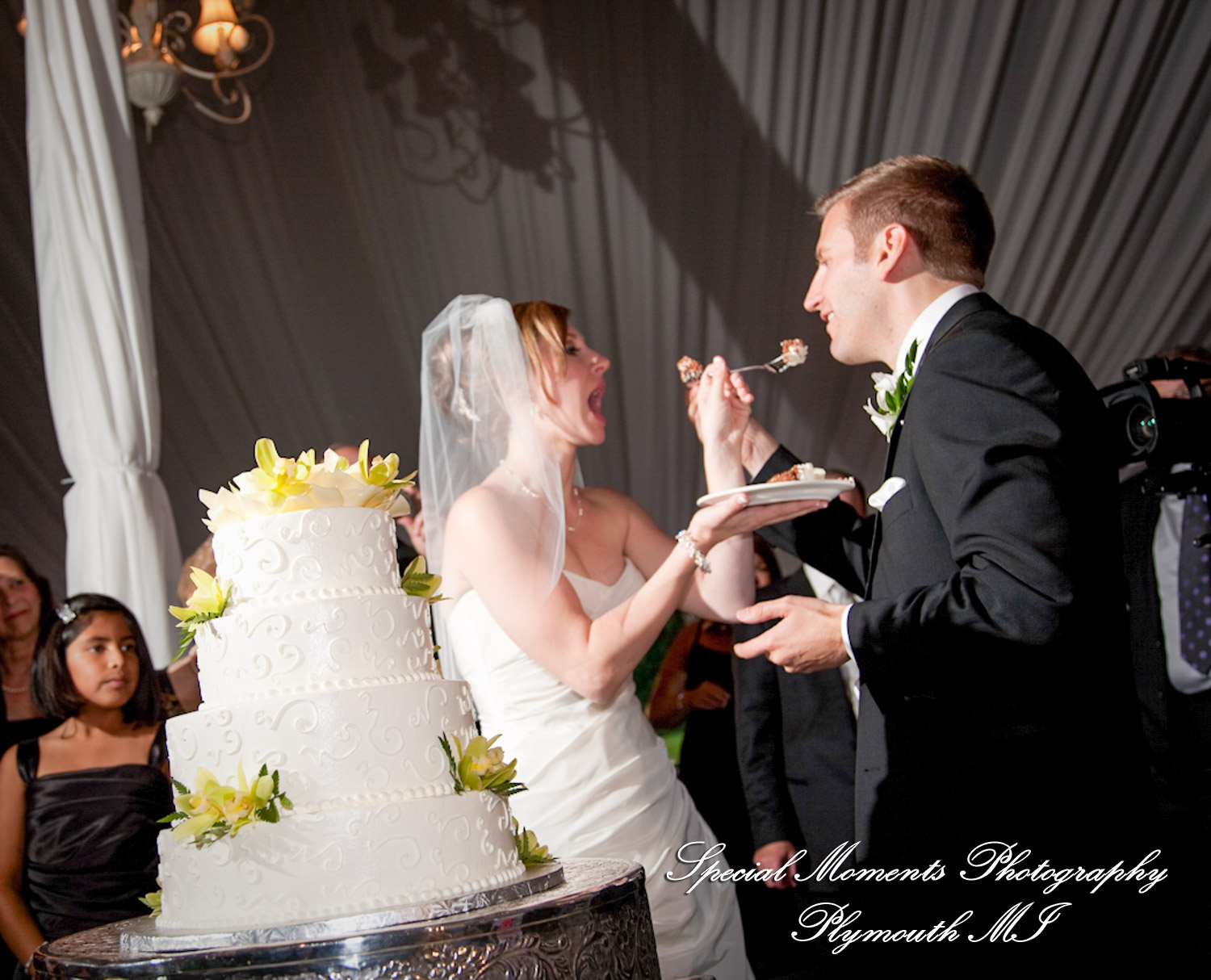 Lindsey & Jim at Meadow Brook Hall Rochester MI wedding photograph