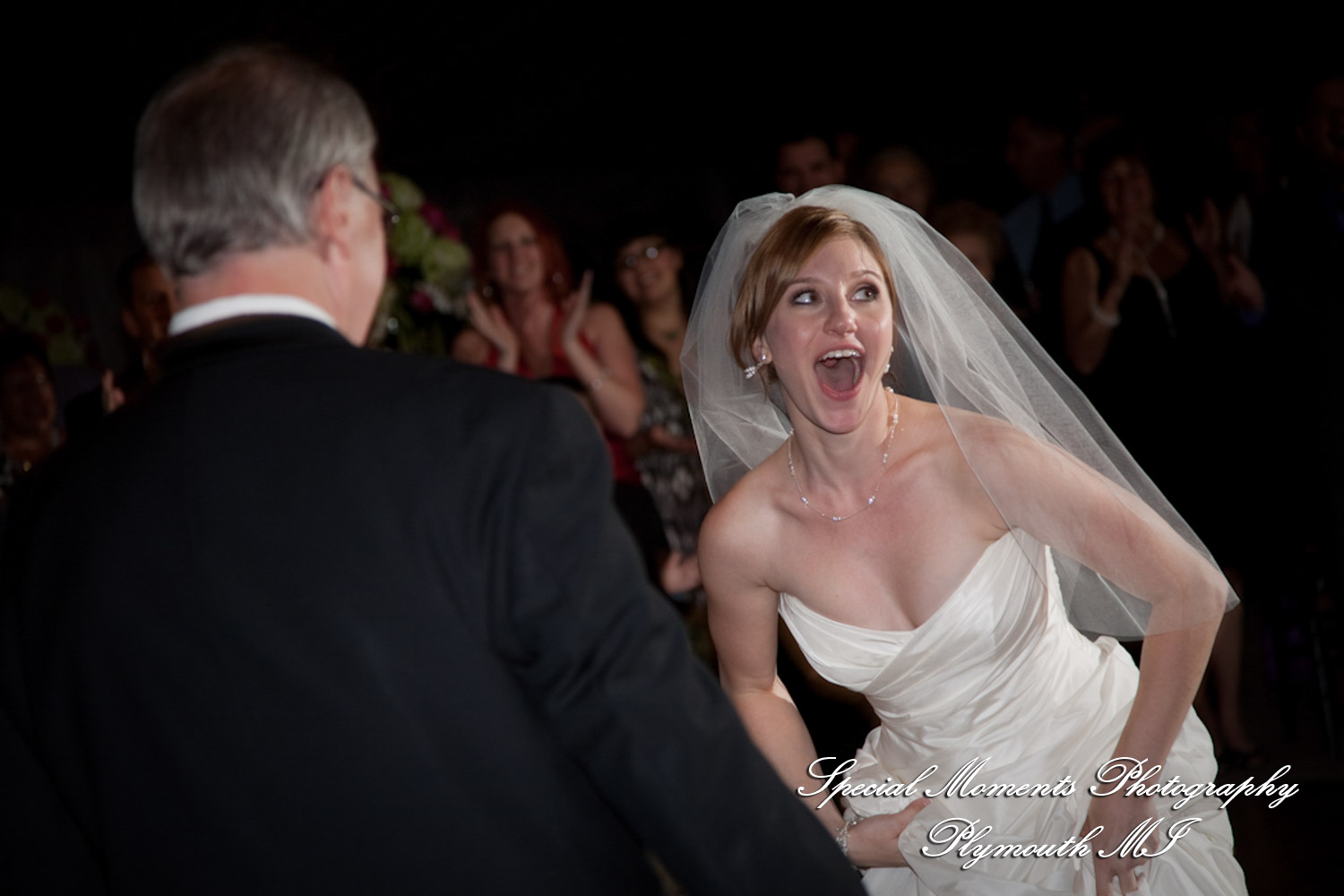 Lindsey & Jim at Meadow Brook Hall Rochester MI wedding photograph