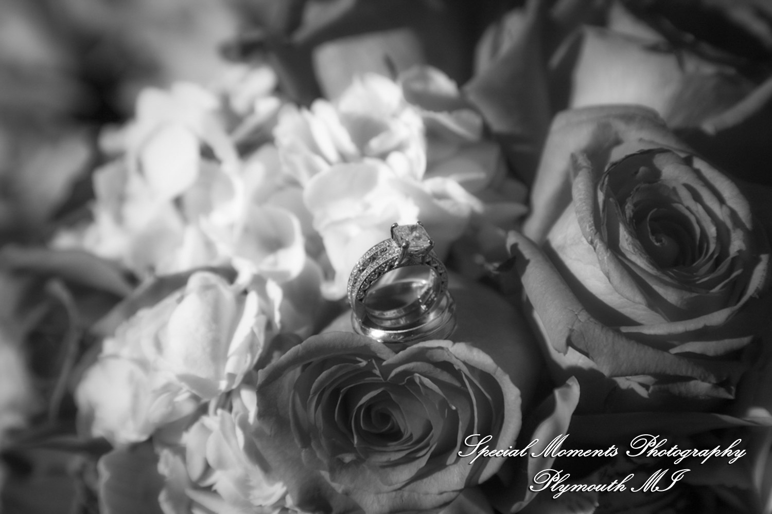 Lindsey & Jim at Meadow Brook Hall Rochester MI wedding photograph