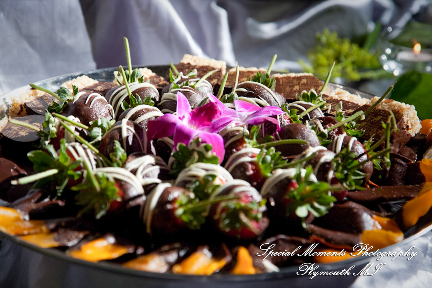 Lindsey & Jim at Meadow Brook Hall Rochester MI wedding photograph