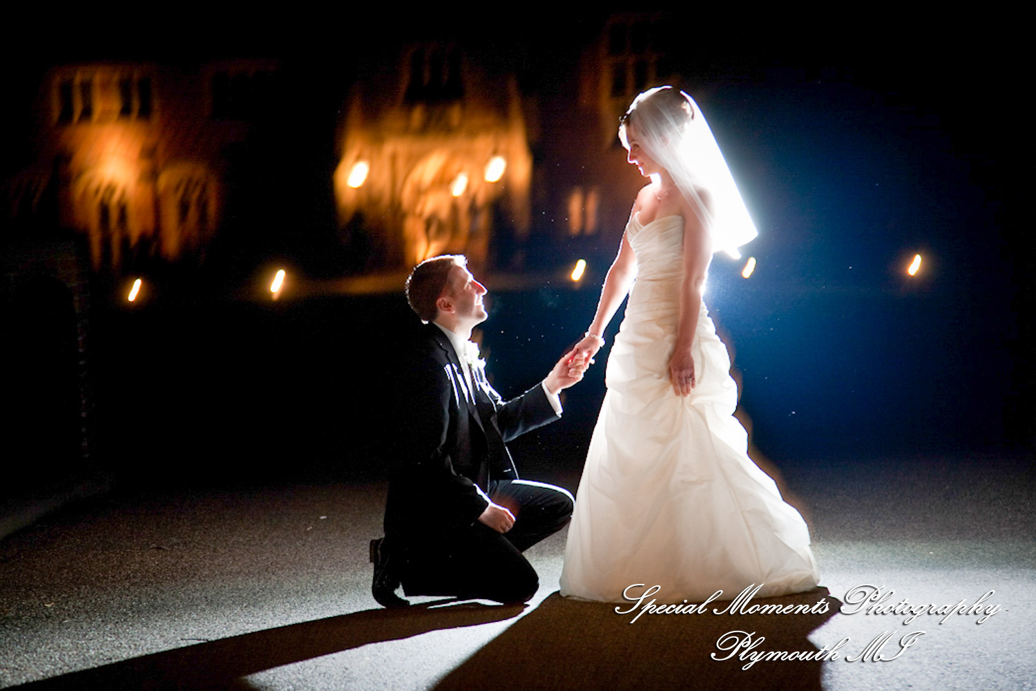 Lindsey & Jim at Meadow Brook Hall Rochester MI wedding photograph