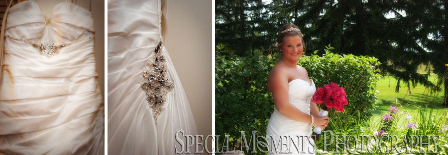 Pine Knob Carriage House wedding Clarkston MI