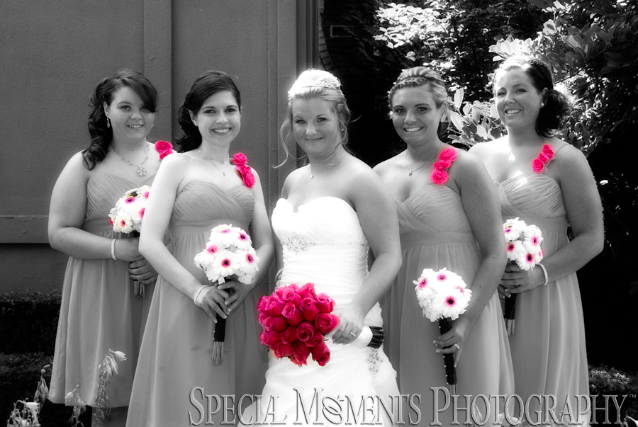 Pine Knob Carriage House wedding Clarkston MI