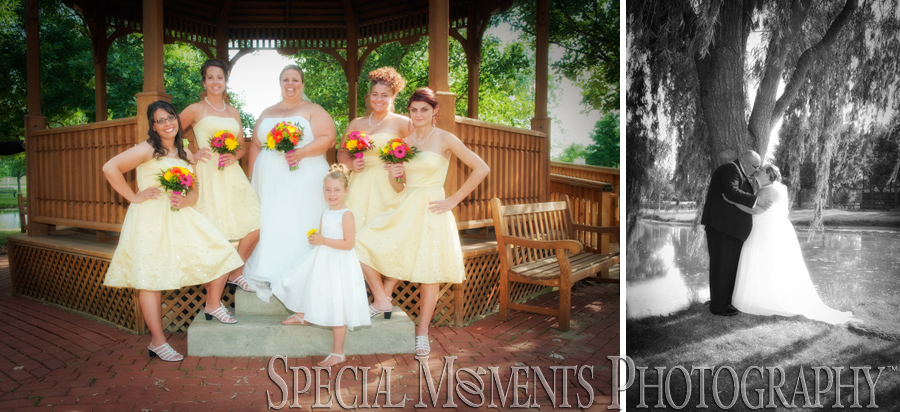 Amanda Jamie Summit on the Park Canton MI Wedding Amanda Jamie Summit on the Park Canton MI Wedding