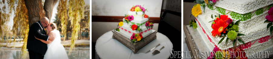 Summit on the Park Canton MI wedding