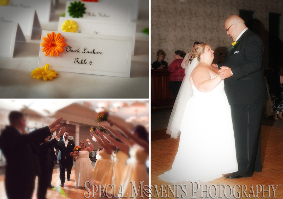 Summit on the Park Canton MI wedding