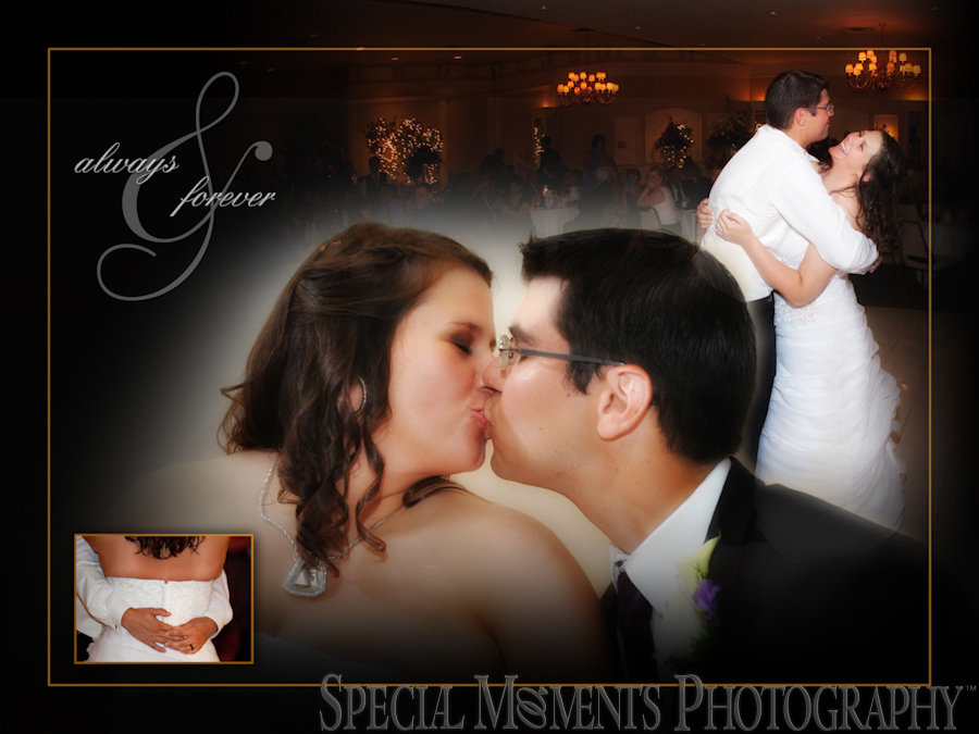 Plymouth Manor wedding photograph Plymouth MI