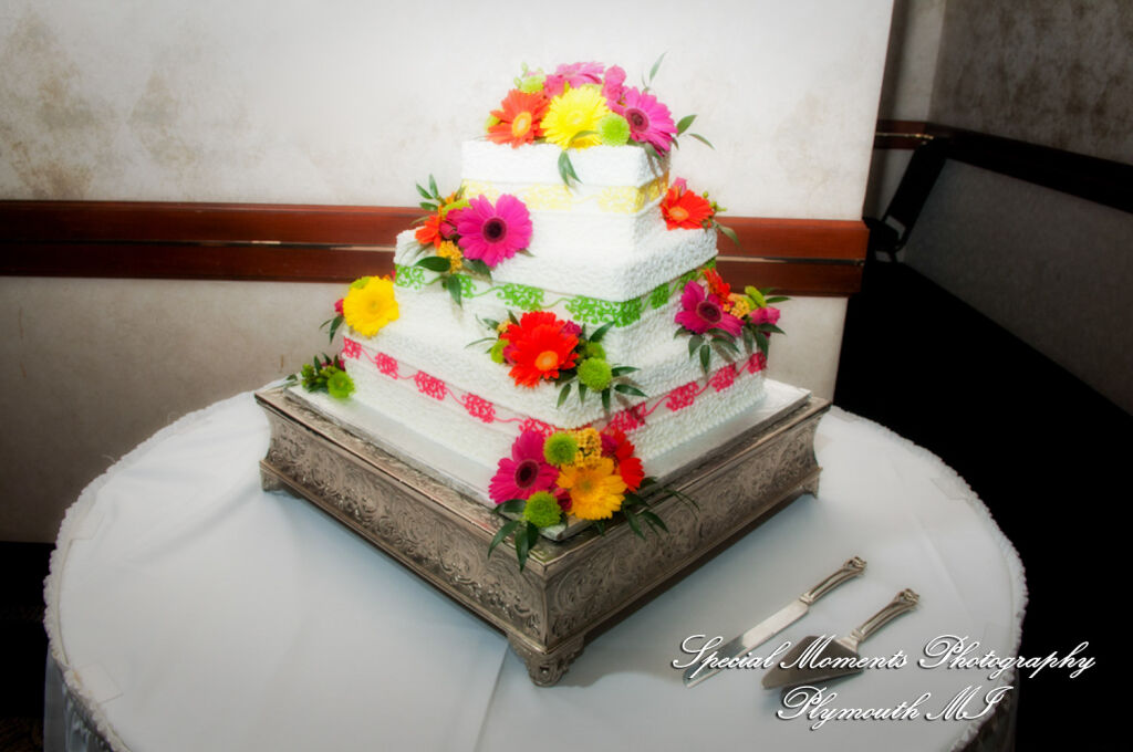 Amanda & Jamie at Summit on the Park Canton MI wedding photography