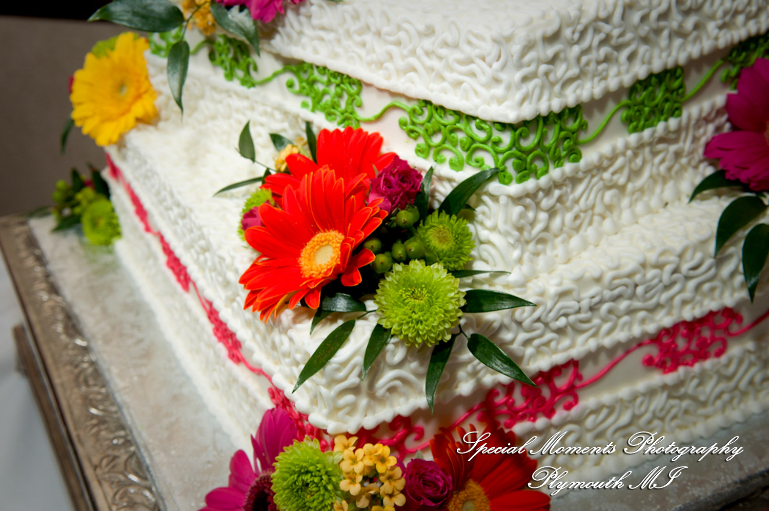 Amanda & Jamie at Summit on the Park Canton MI wedding photography