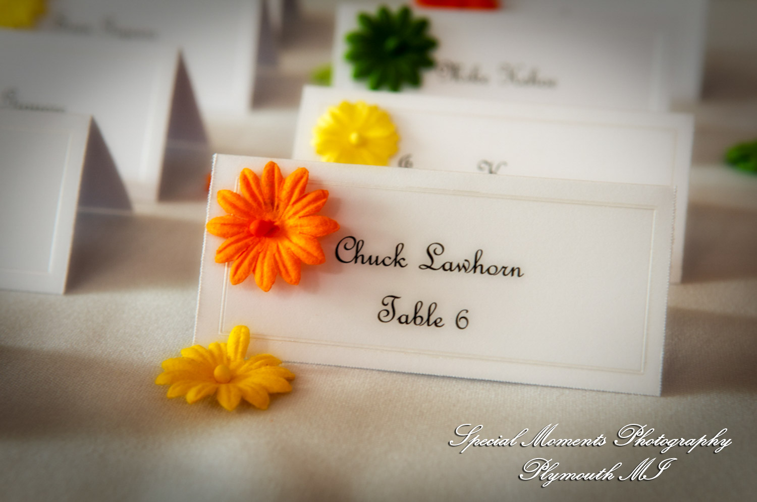 Amanda & Jamie at Summit on the Park Canton MI wedding photography