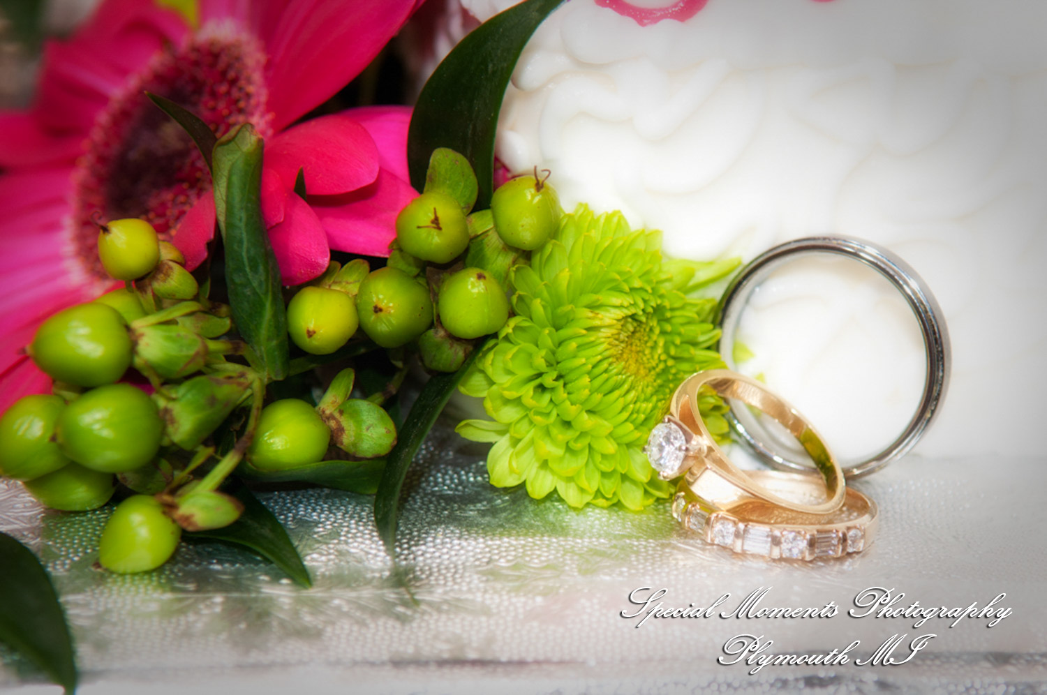 Amanda & Jamie at Summit on the Park Canton MI wedding photography