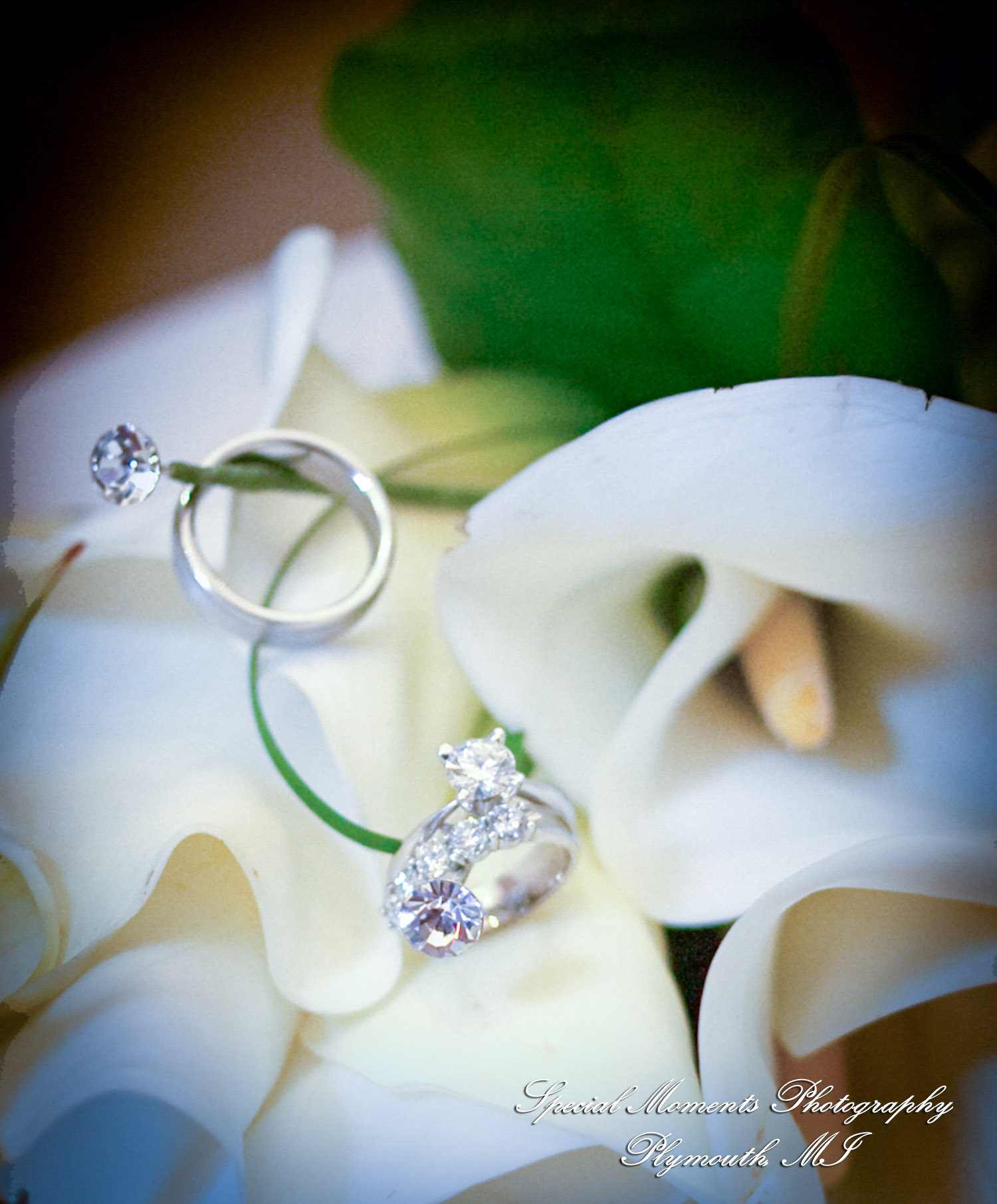 Erin & Patrick at Henry Ford Museum Dearborn MI wedding photograph