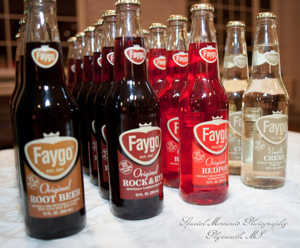 Erin & Patrick at Henry Ford Museum Dearborn MI wedding photograph