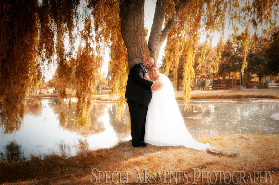 Summit on the Park Canton wedding photograph