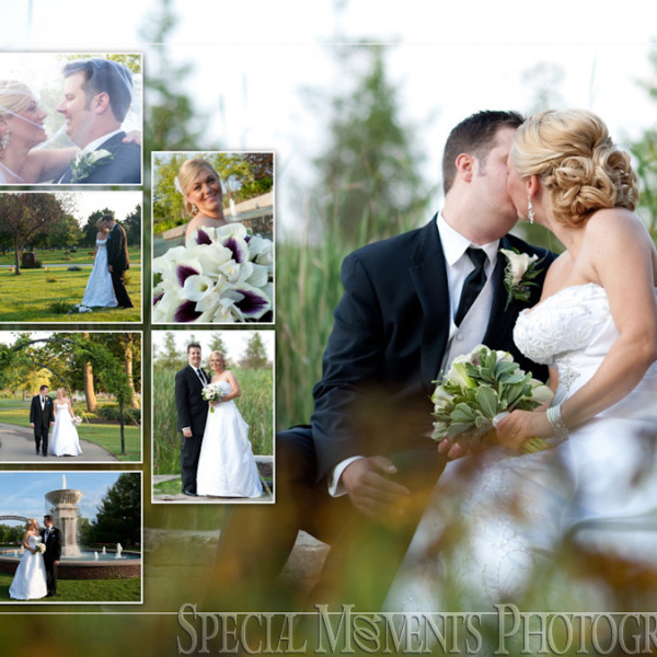 George Memorial Park Clinton Twp Wedding Blog Archives Thomas Jennifer S Wedding Al Design George Memorial Park Of Clinton Twp