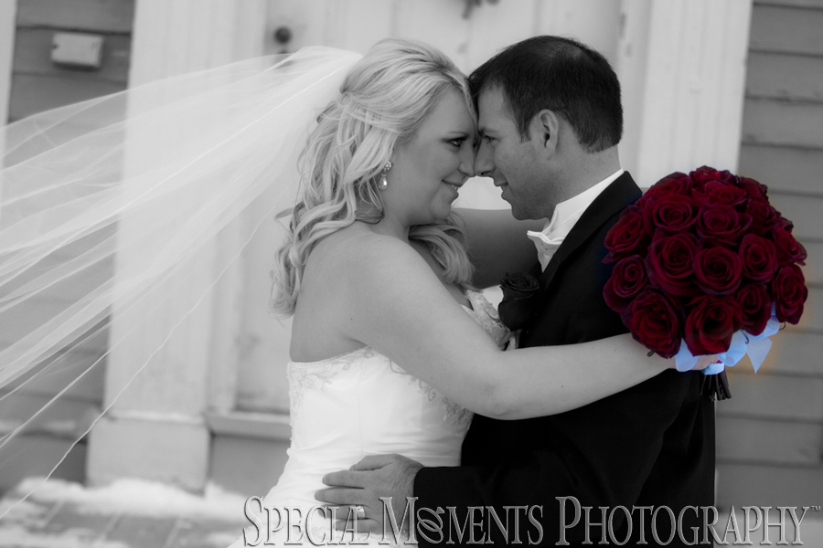 Angela & Joseph Phillips St. Kenneth Plymouth MI wedding St. Kenneth Plymouth MI wedding