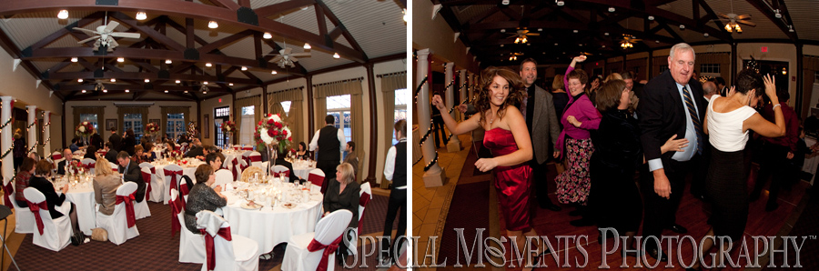 Northville Hills Golf Club Northville MI wedding