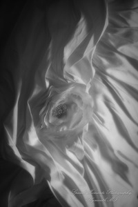 Dearborn Inn Dearborn MI wedding photograph