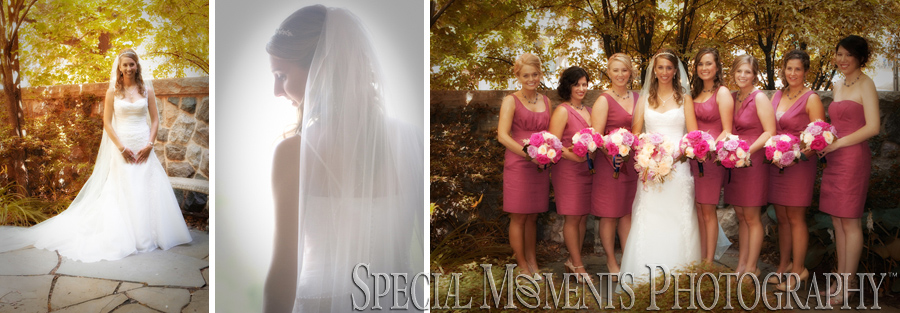 St. Thomas the Apostle Ann Arbor MI wedding