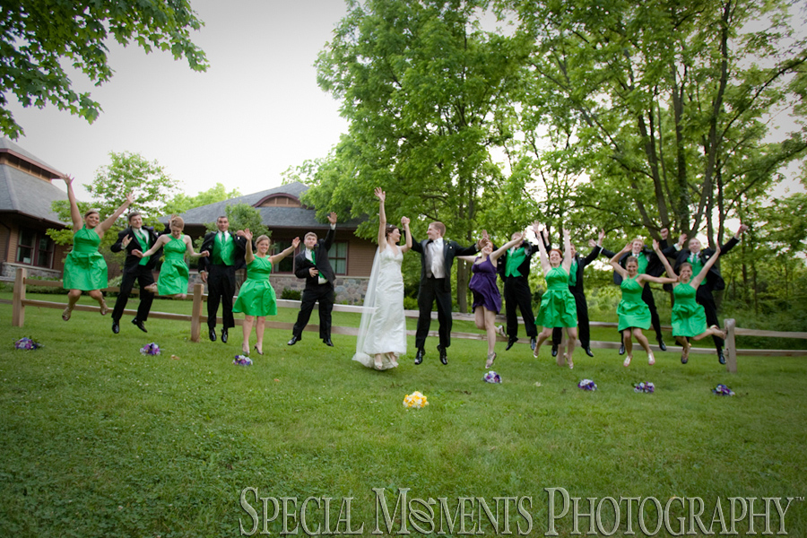 St. Francis of Assisi Ann Arbor MI wedding