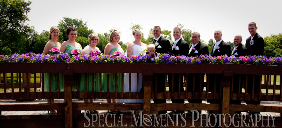 Fox Hills Country Club wedding Plymouth MI