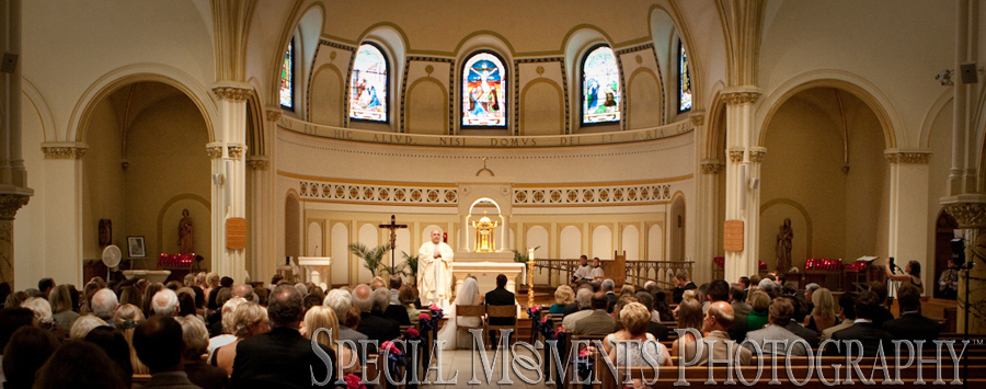 St. Thomas the Apostle Ann Arbor MI wedding