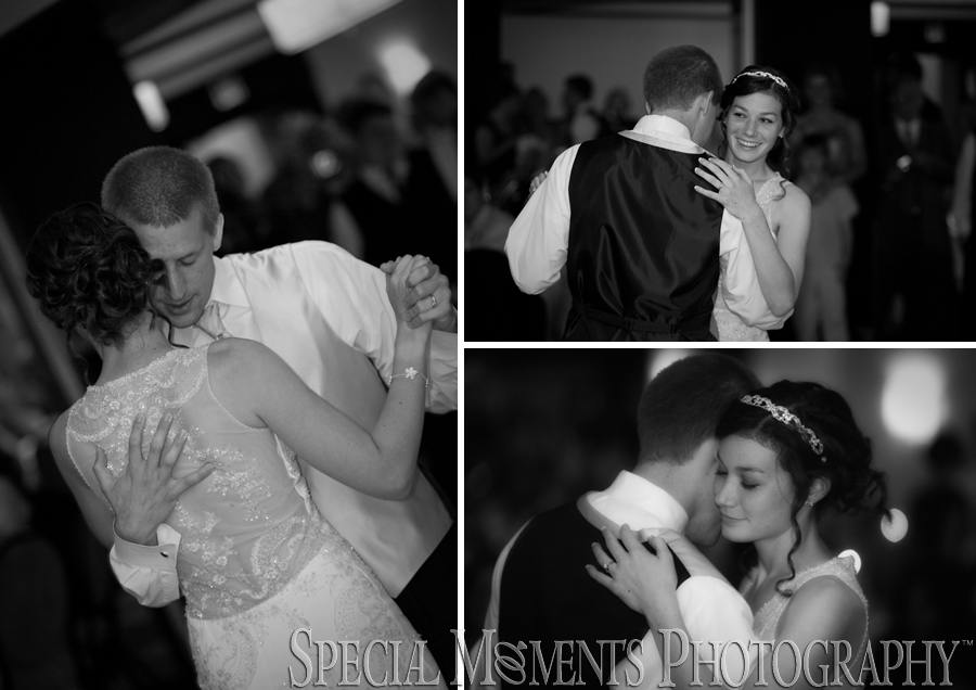 Weber's Inn Ann Arbor MI wedding reception
