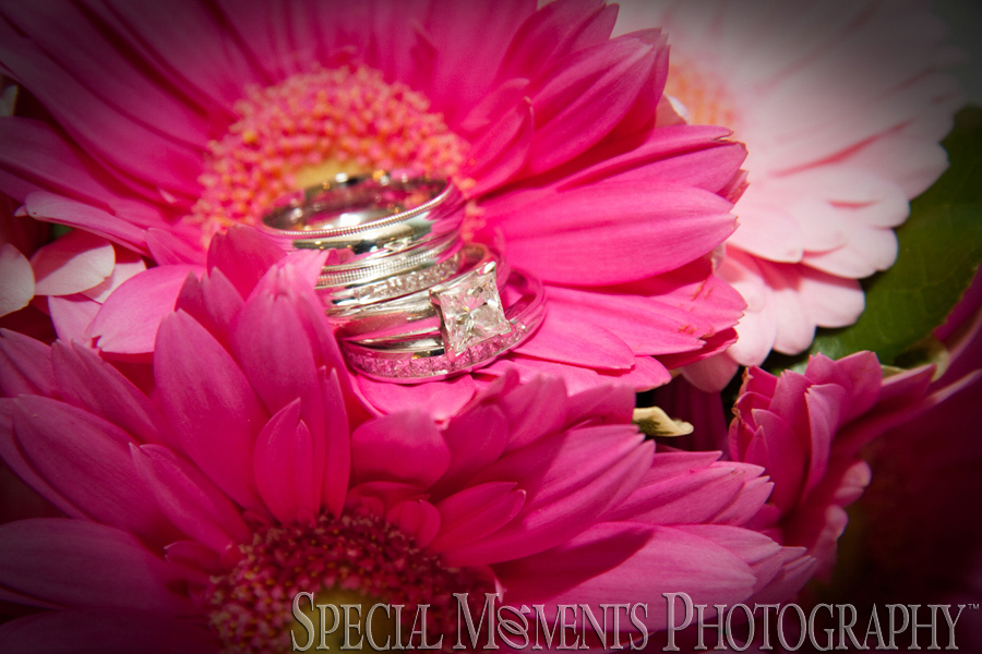 Fox Hills Country Club wedding Plymouth MI