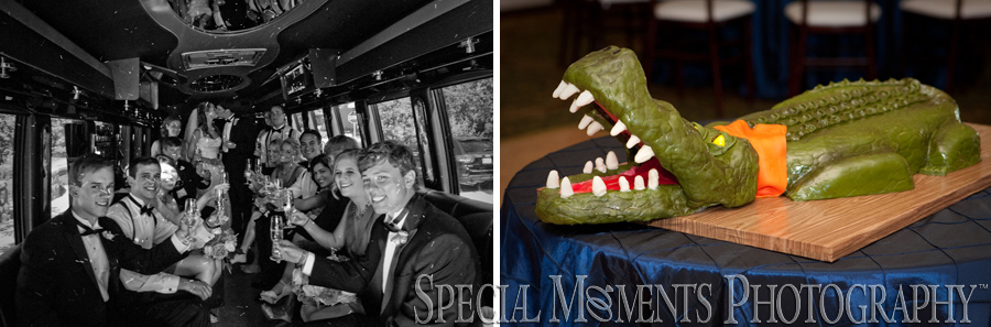 Barton Hills Country Club Ann Arbor MI wedding