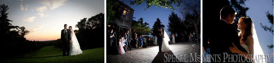 Pine Knob Mansion Clarkston reception