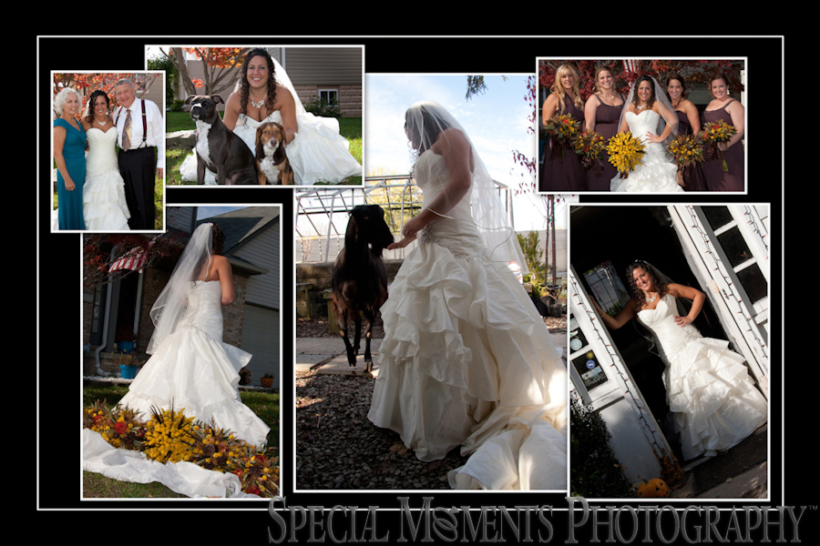 Westcroft Gardens wedding photograph Grosse Ile MI