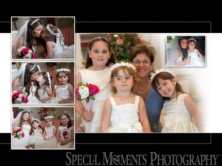 St. Michael Lutheran Canton MI wedding