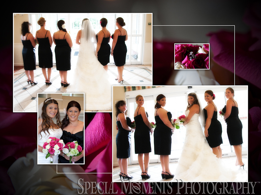 St. Michael Lutheran Canton MI wedding