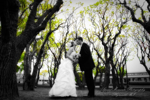 Eagle Tavern Greenfield Village Dearborn MI wedding photograph