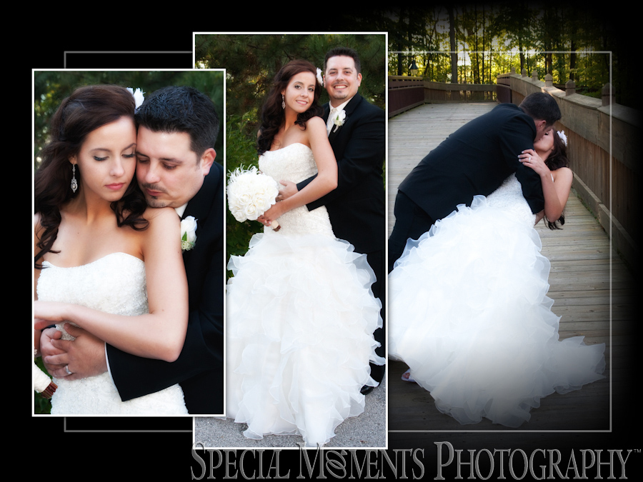 Stone Creek Banquet Hall Flat Rock MI wedding reception
