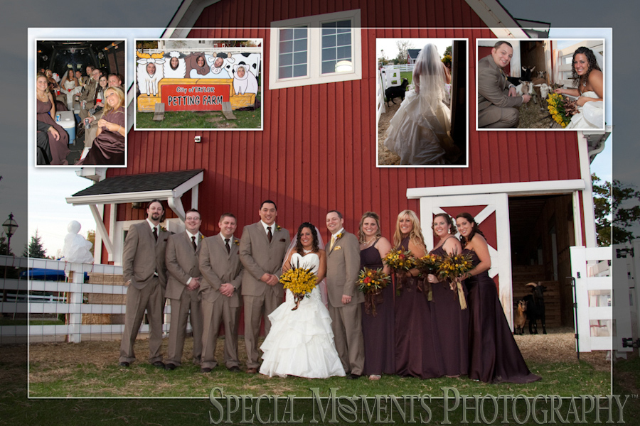 Heritage Park Petting Farm wedding photograph Taylor MI