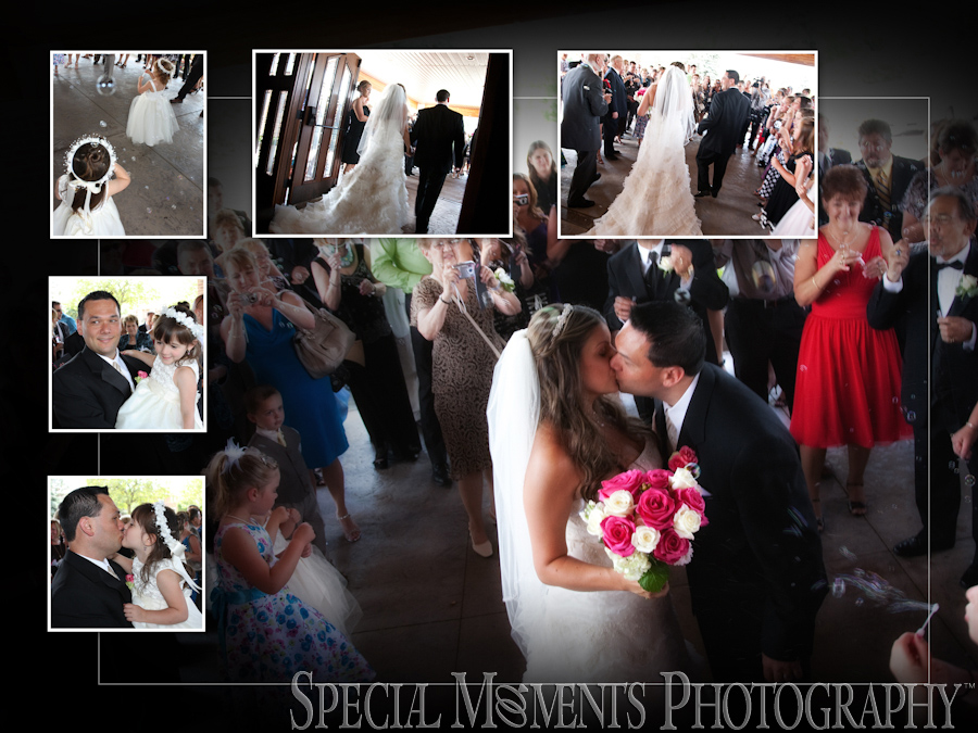 St. Michael Lutheran Canton MI wedding