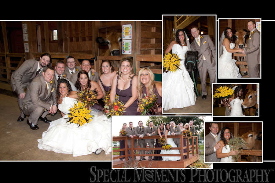 Heritage Park Petting Farm wedding photograph Taylor MI
