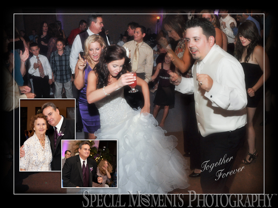 Stone Creek Banquet Hall Flat Rock MI wedding reception