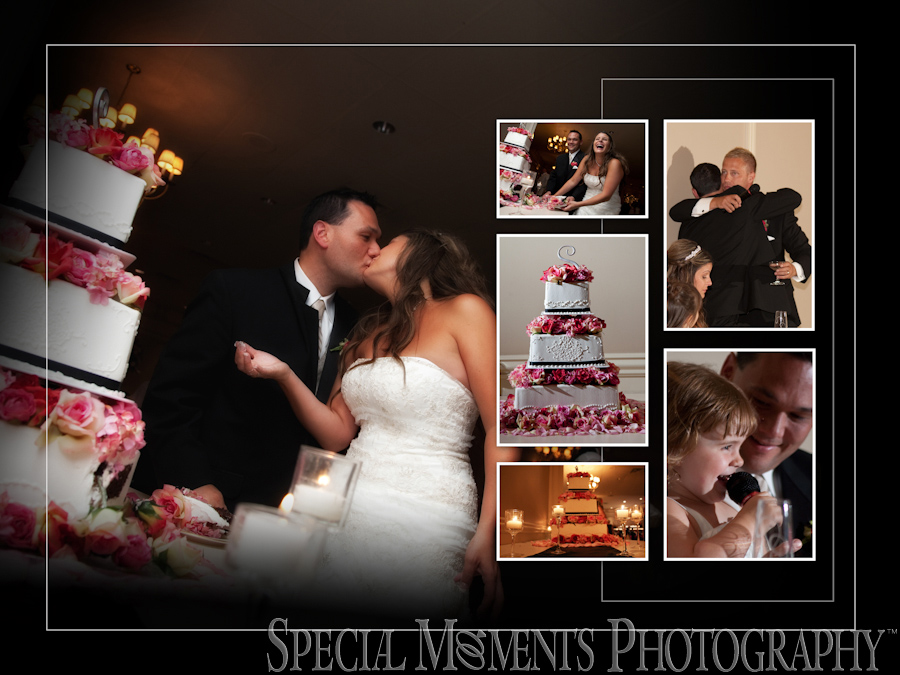 Plymouth Manor Plymouth MI wedding reception