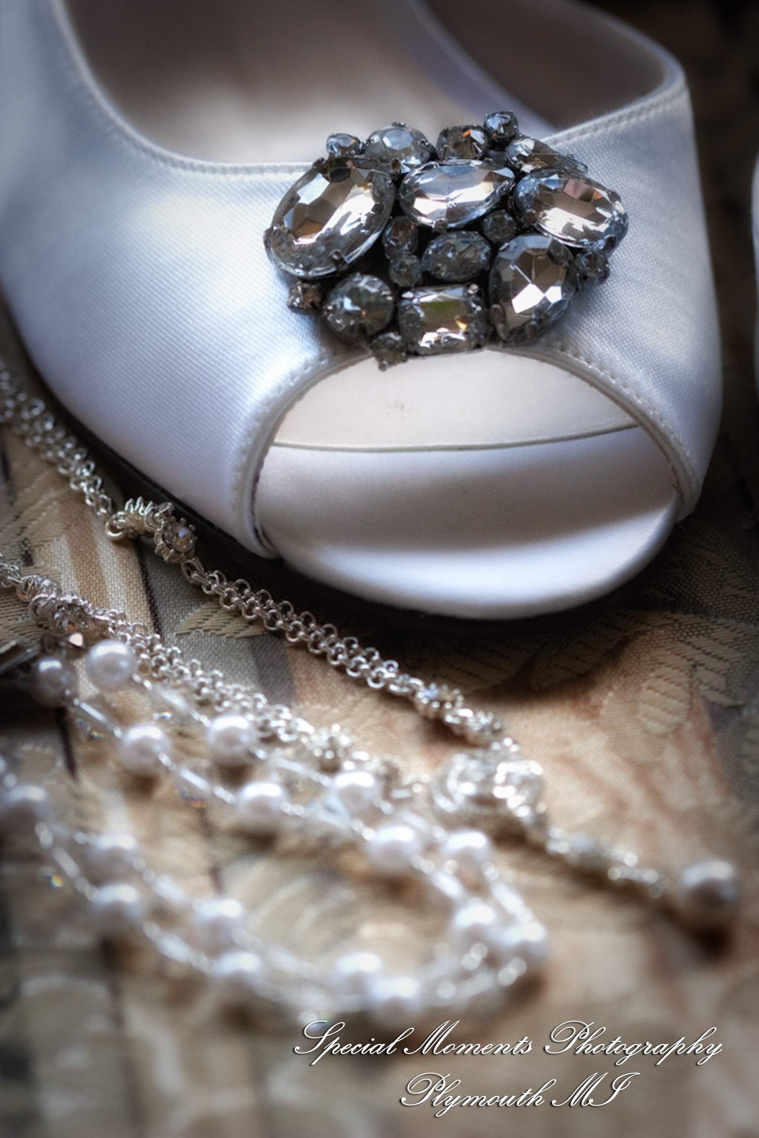 Amanda & Charlie at St. Thomas the Apostle Catholic Church Ann Arbor MI wedding photography