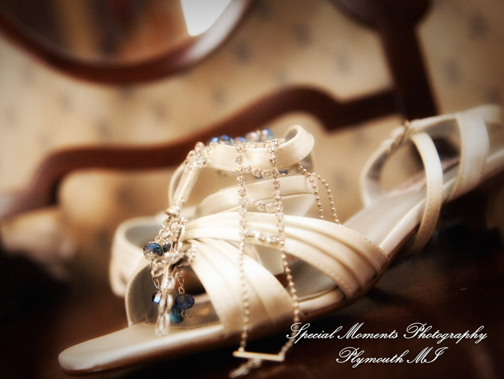 Nicole & Brian at Ginger Meyer Gardens Greenfield Village Dearborn MI wedding photography