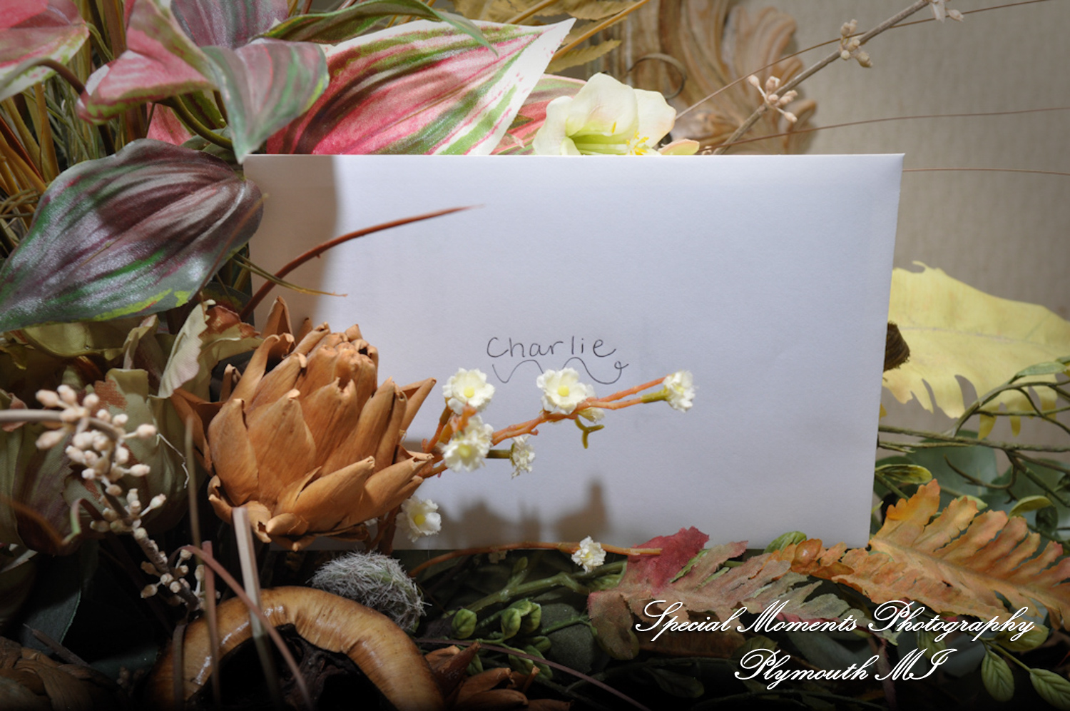 Amanda & Charlie at St. Thomas the Apostle Catholic Church Ann Arbor MI wedding photography