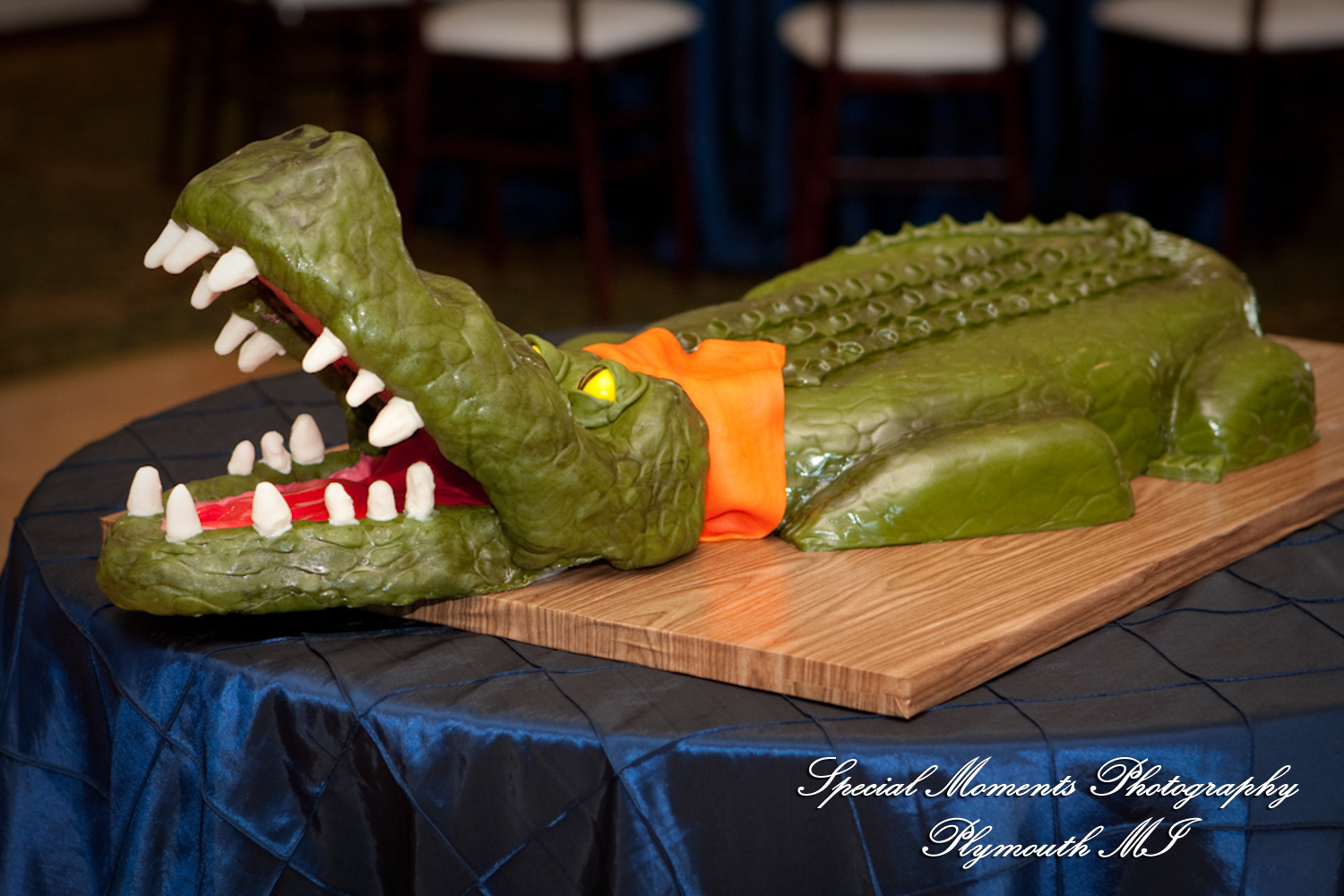 Amanda & Charlie at Barton Hills Country Club Ann Arbor MI wedding photography