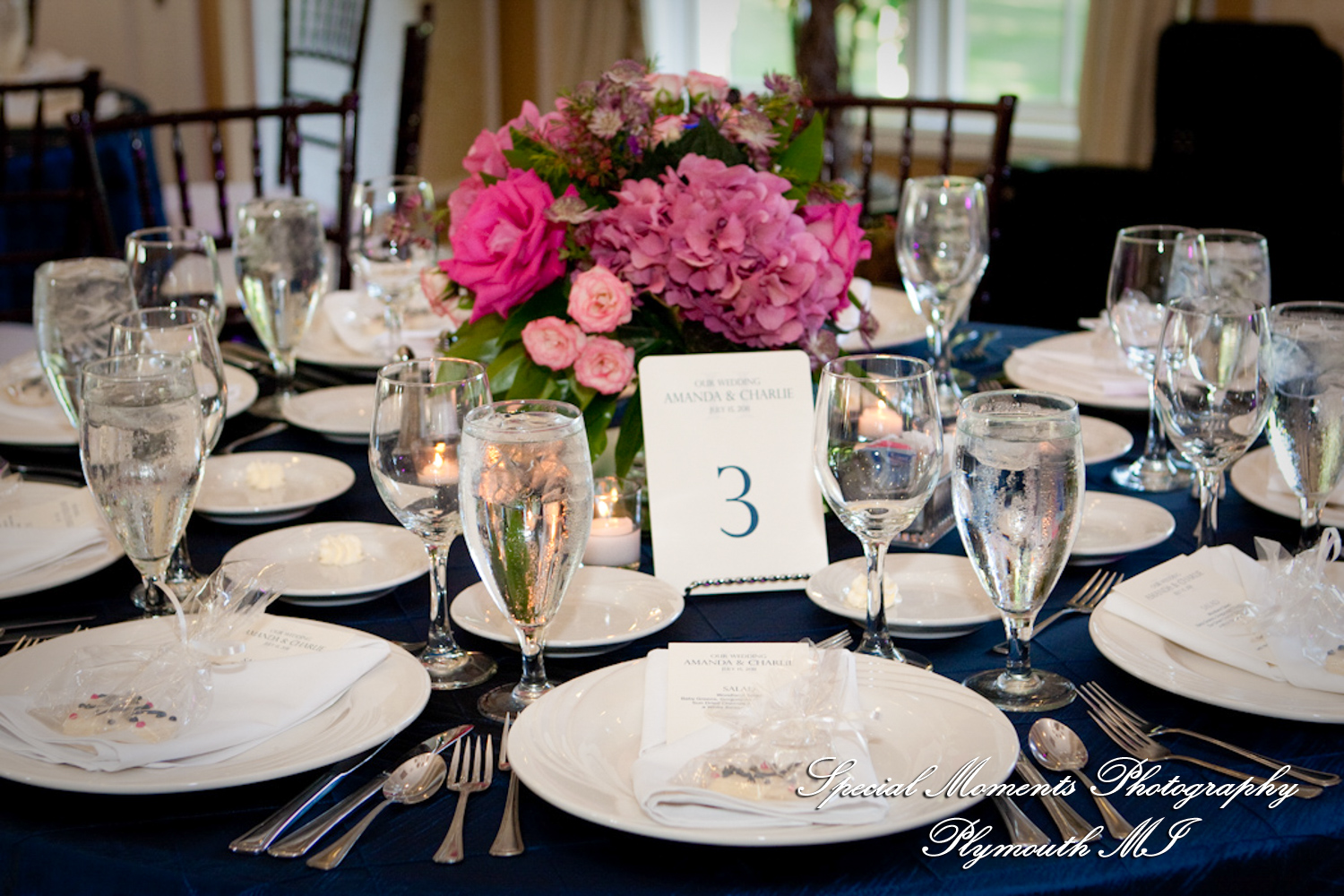 Amanda & Charlie at Barton Hills Country Club Ann Arbor MI wedding photography