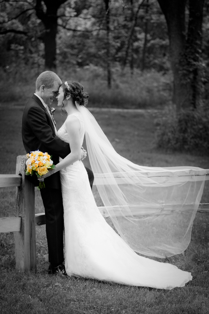 St. Francis of Assisi Ann Arbor wedding photograph